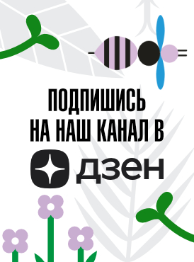 Дзен