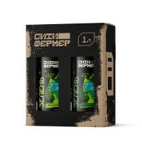 Ситифермер_Box_ЗеленьА+Б