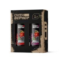 Ситифермер_Box_ЯгодыА+Б