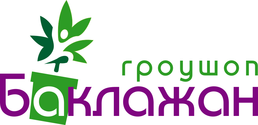 Гроушоп Баклажан