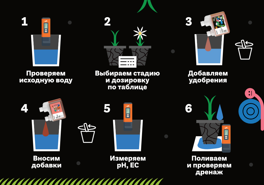 Simplex_blog_Терра_4 (1).jpg
