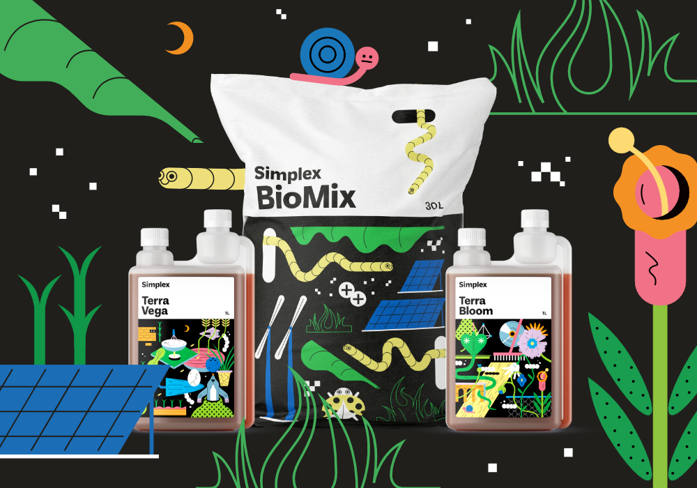 СТАТЬЯ_BIOMIX_4_100x700 (1).jpg