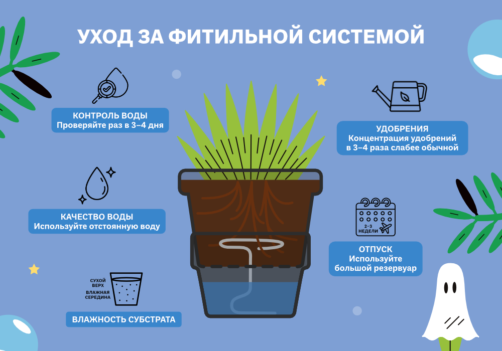 simplex_blog_ФИТИЛЬ_ПОЛУГИДРОПОНИКА_5_1000х700.jpg