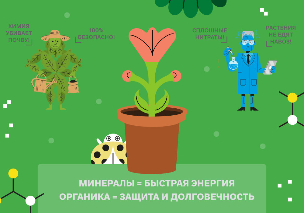 blog_Simplex_ОМУ_от_выбора_к_синергии_6.jpg