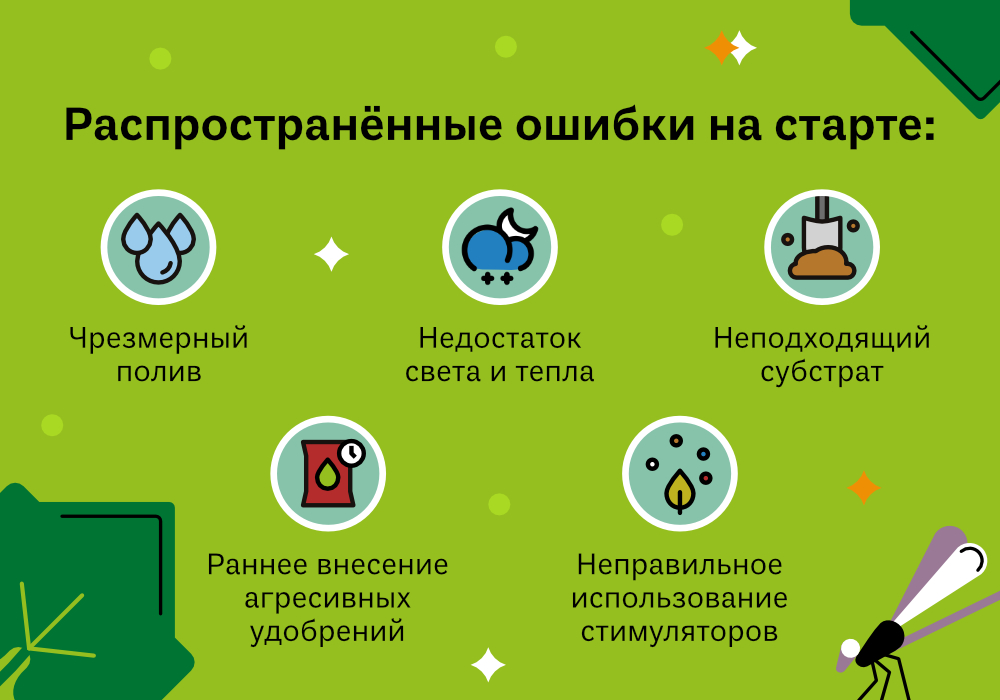 УДАЧНЫЙСТАРТ_7 (1).jpg
