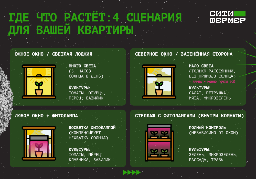 СИТИФЕРМЕР_blog_Домашний огород_2.jpg