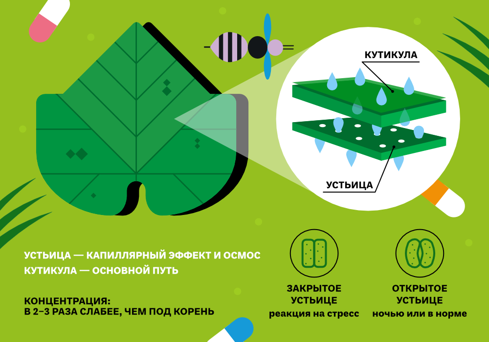 blog_Simplex_Внекорневые_подкормки_2.jpg