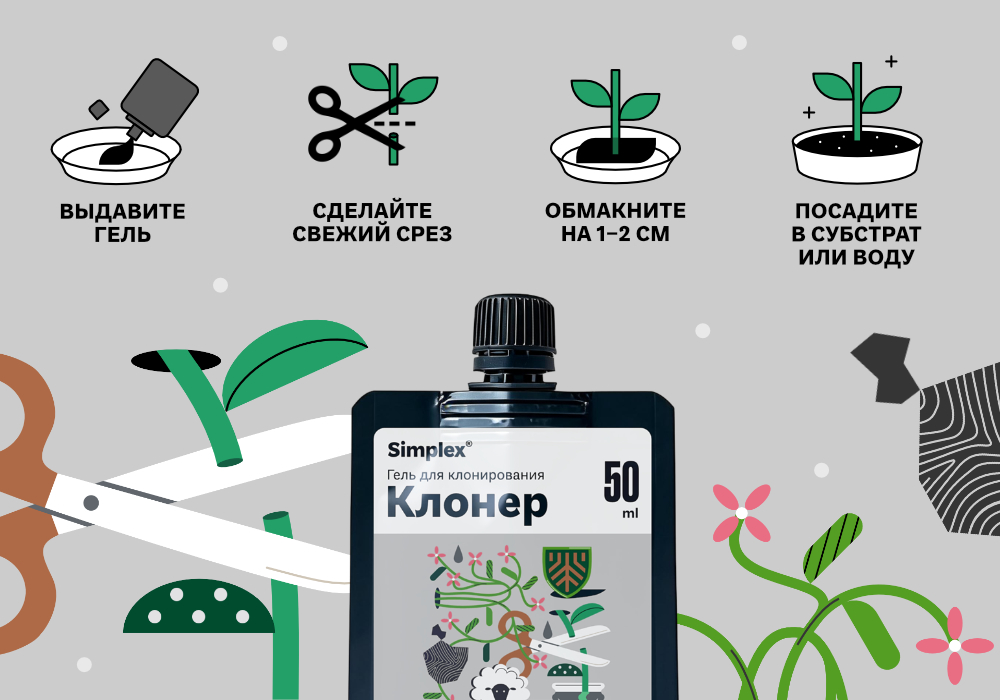 СТАТЬЯ_Simplex_Клонер_3.jpg