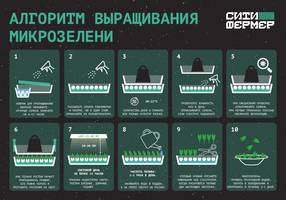 3 кита идеальной микрозелени_7.jpg