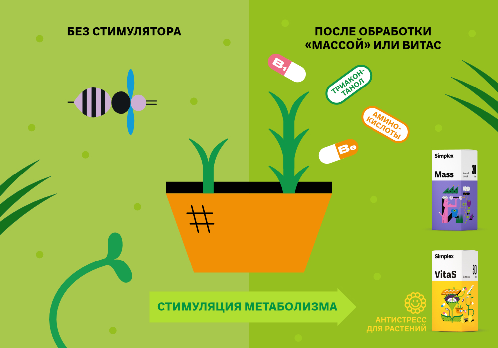 blog_Simplex_Внекорневые_подкормки_4.jpg