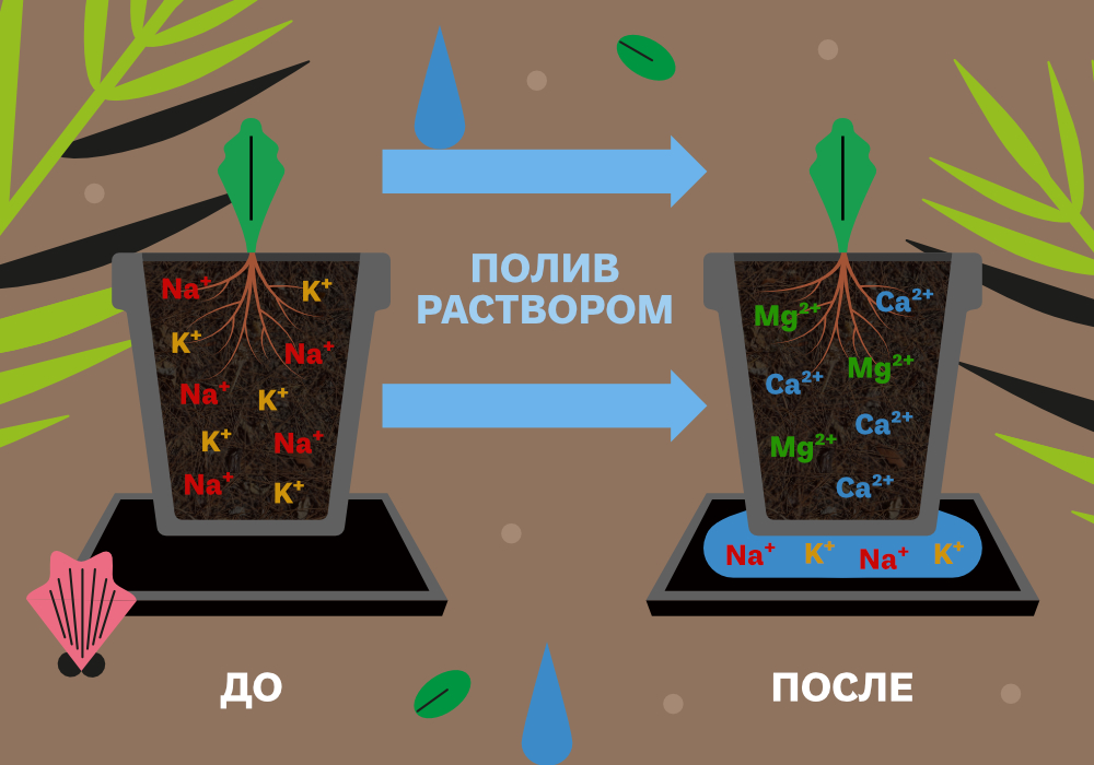 SimplexCoco-метод с дренажом_6 (2) (1).jpg SimplexCoco-метод с дренажом_6 (2) (1).jpg