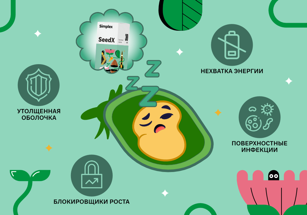 SeedX_Реанимируем_семена_3.jpg