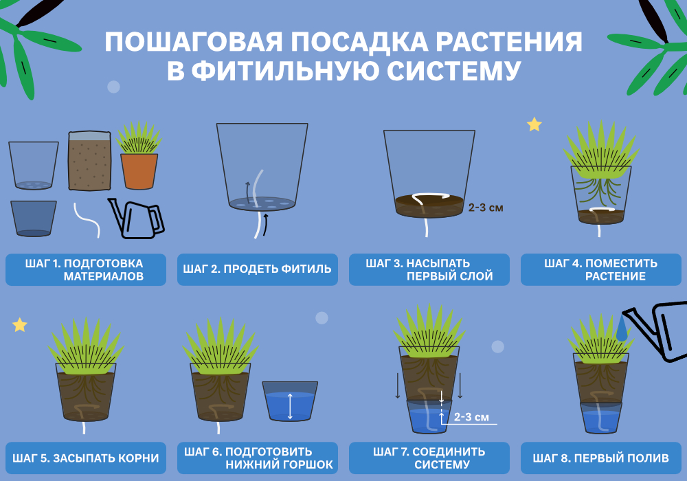 simplex_blog_ФИТИЛЬ_ПОЛУГИДРОПОНИКА_4_1000х700.jpg
