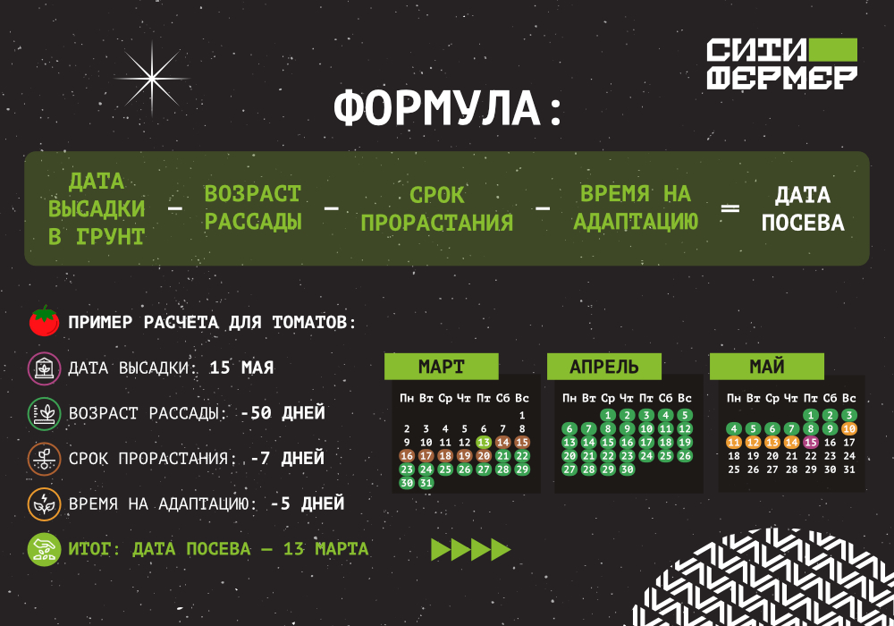 blog_СФ_Когда сеять и высаживать рассаду_2 (2).jpg
