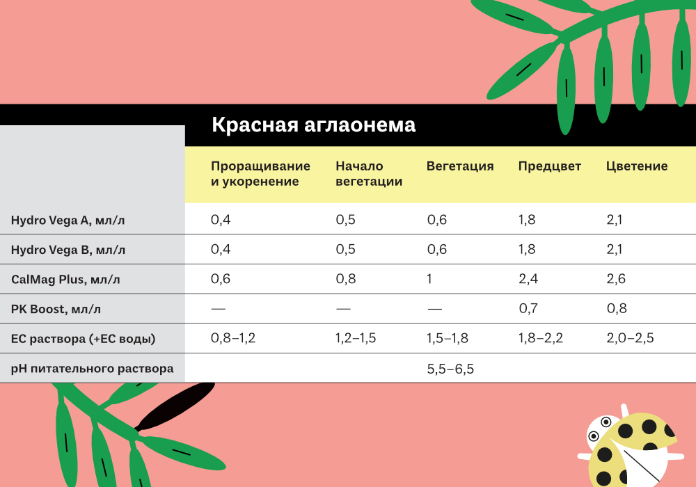 25.ТАБЛИЦЫ ЭКЗОТИКА4.jpg