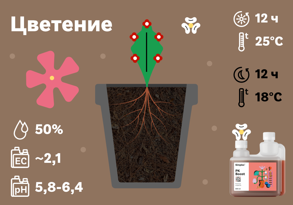 SimplexCoco-метод с дренажом_10 (2) (1).jpg