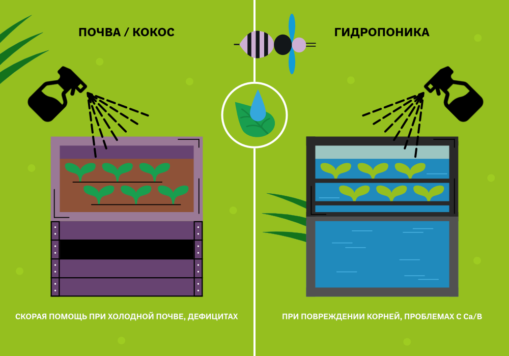 blog_Simplex_Внекорневые_подкормки_6.jpg