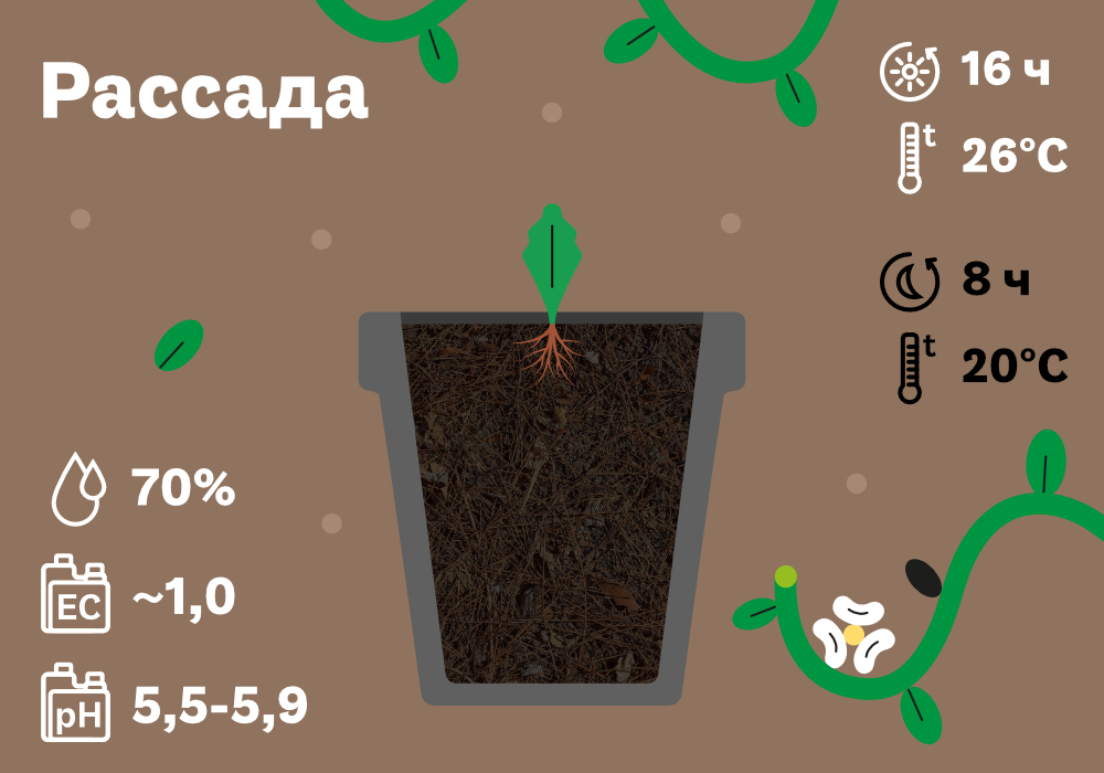 SimplexCoco-метод с дренажом_7 (2) (1).jpg