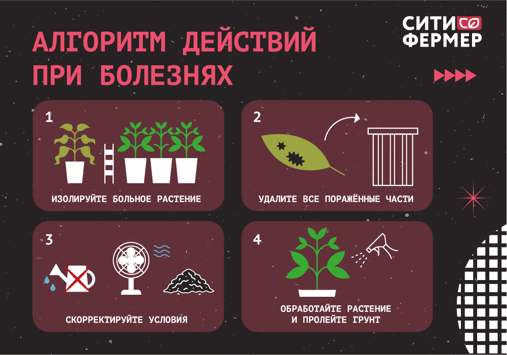 удобрение_не_работает_3.png