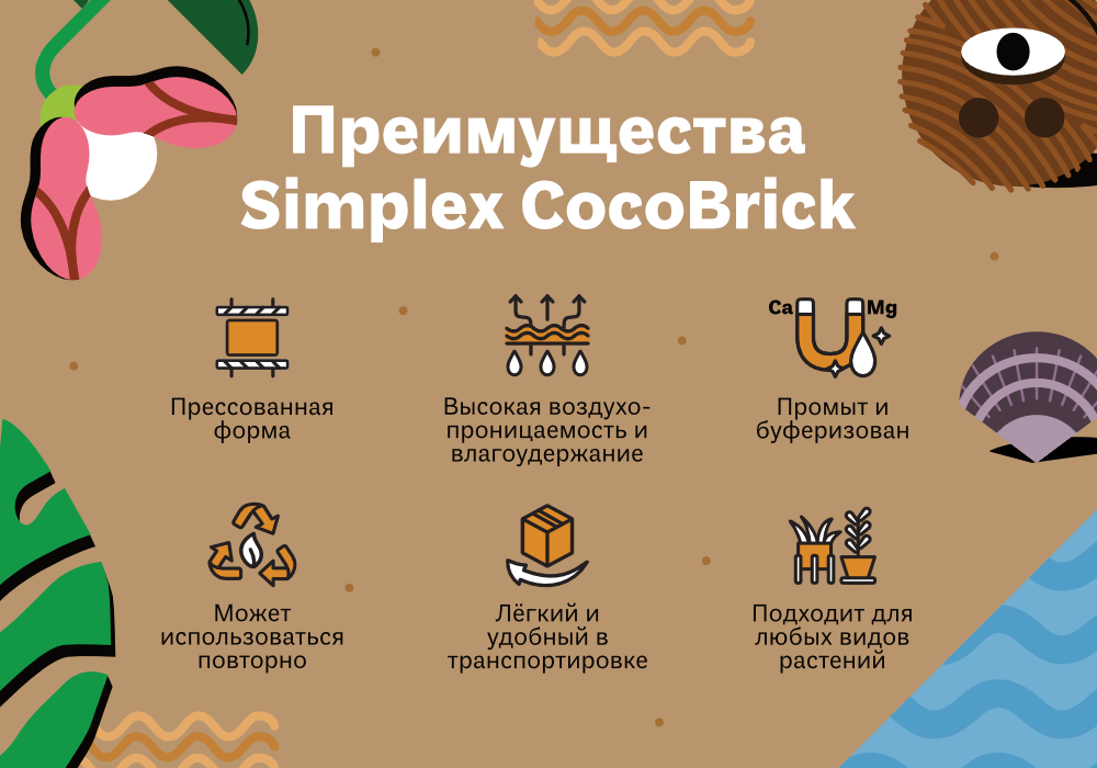 33.КОКОБРИК1.jpg