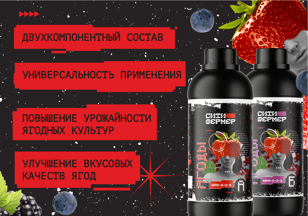 ягоды_1000x700_3 (2).png
