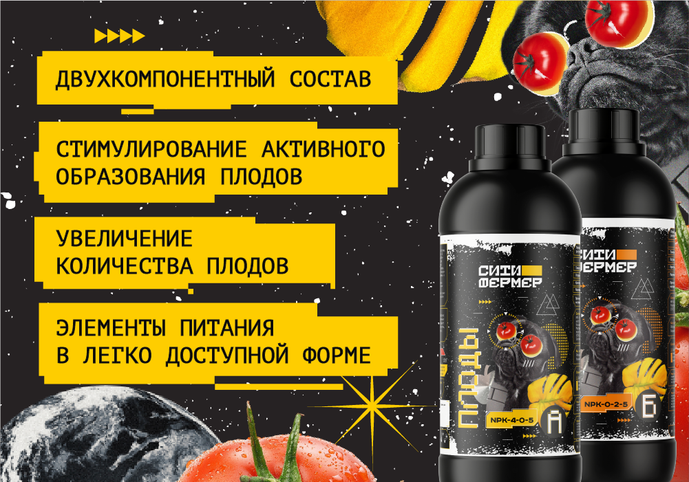 плоды 2 (1).png