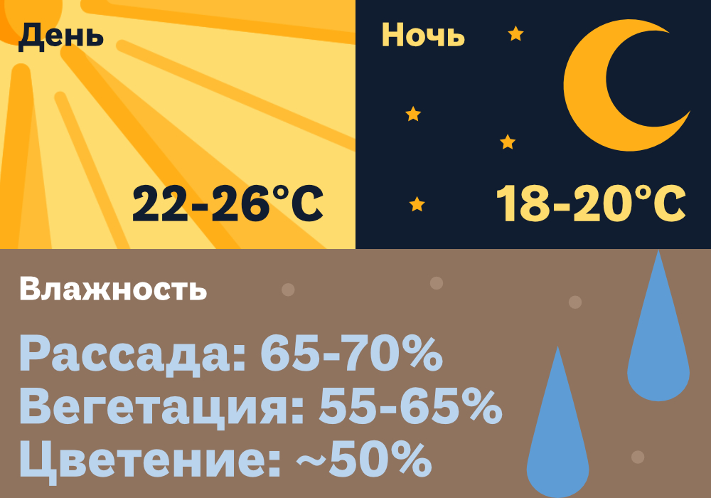 SimplexCoco-метод с дренажом_3 (2) (1).jpg