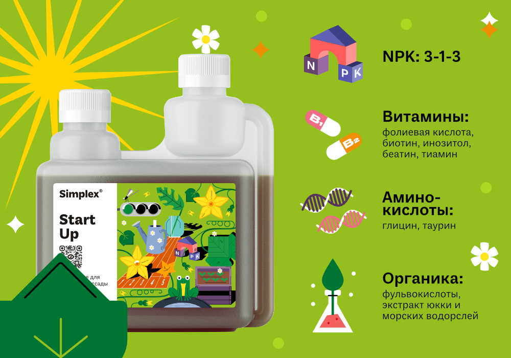 УДАЧНЫЙСТАРТ_5 (1).jpg
