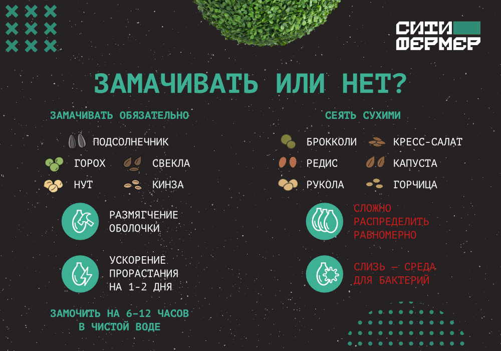 3 кита идеальной микрозелени_3.jpg