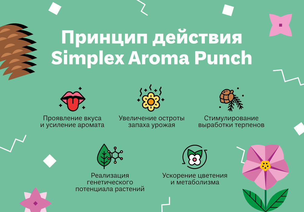 32.АРОМА ПАНЧ2.jpg
