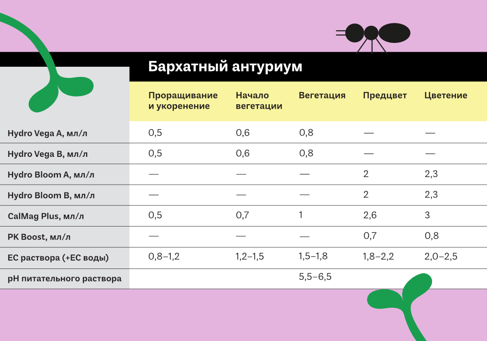 25.ТАБЛИЦЫ ЭКЗОТИКА1.jpg