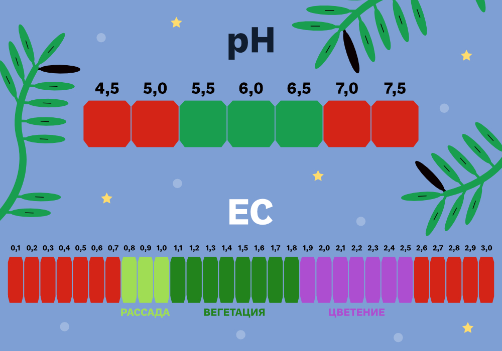 SimplexHydro_DWC_6_1000x700 (1).jpg