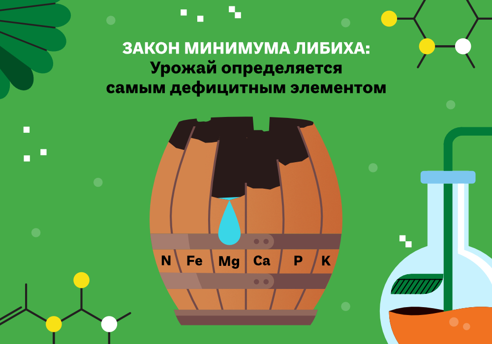 blog_Simplex_ОМУ_от_выбора_к_синергии_4.jpg