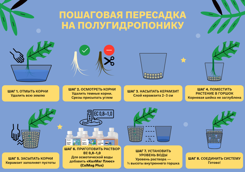 simplex_blog_ФИТИЛЬ_ПОЛУГИДРОПОНИКА_8_1000х700.jpg