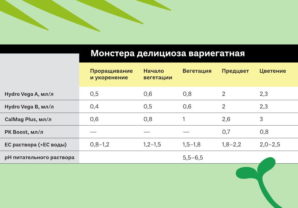 25.ТАБЛИЦЫ ЭКЗОТИКА6.jpg