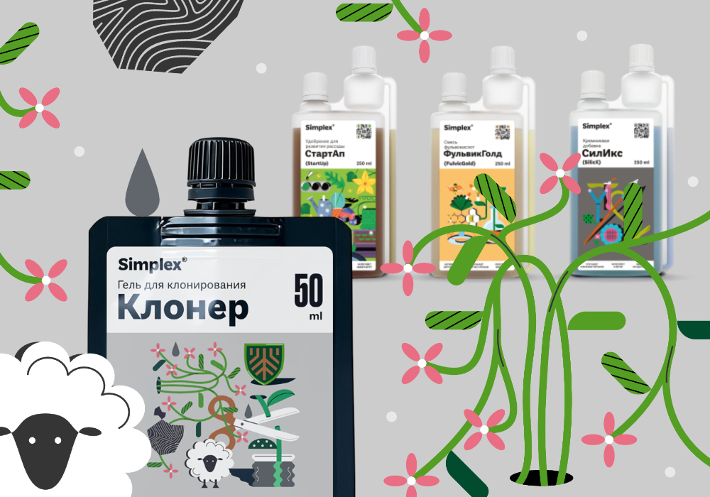 СТАТЬЯ_Simplex_Клонер_4.jpg