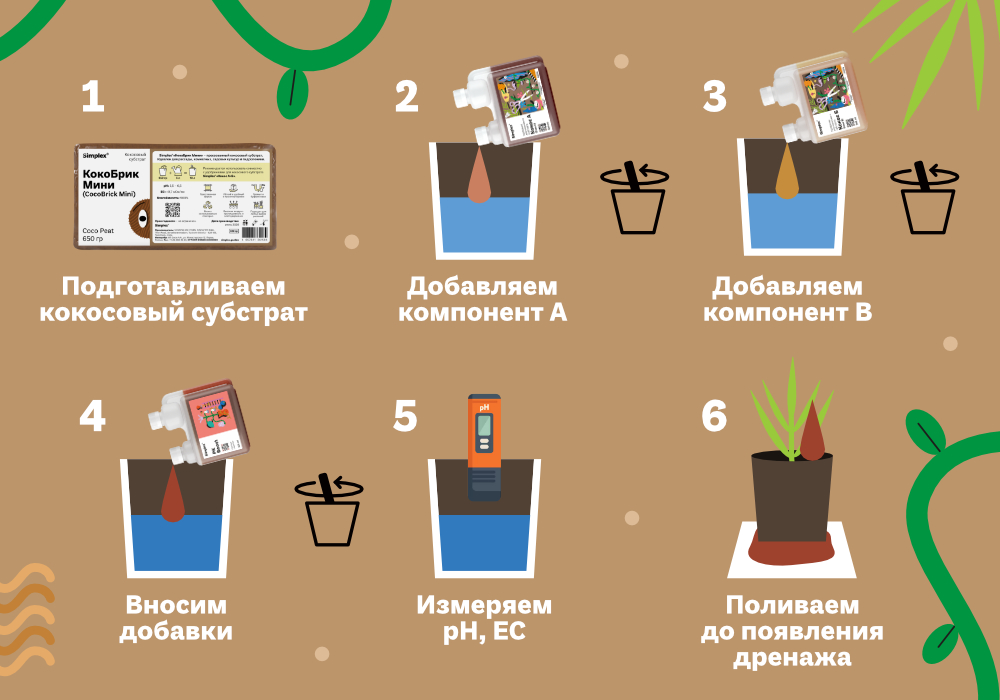 Simplex_blog_КокосА+Б_4 (1).jpg