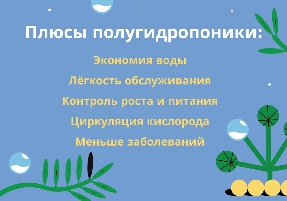 Simplex_Полугидропоника (1).png