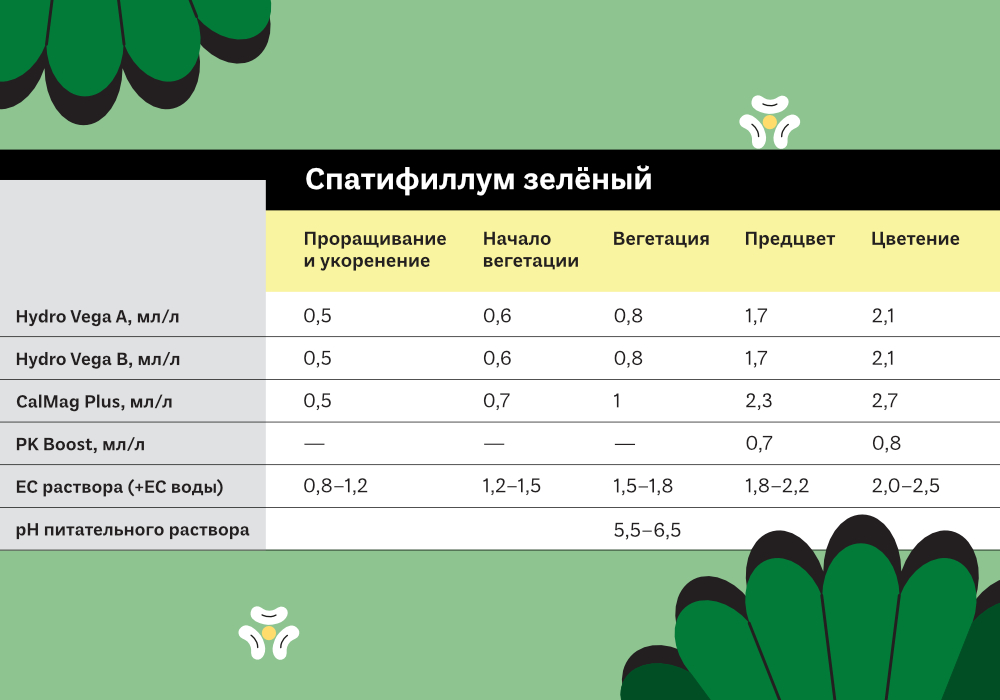 25.ТАБЛИЦЫ ЭКЗОТИКА3.jpg