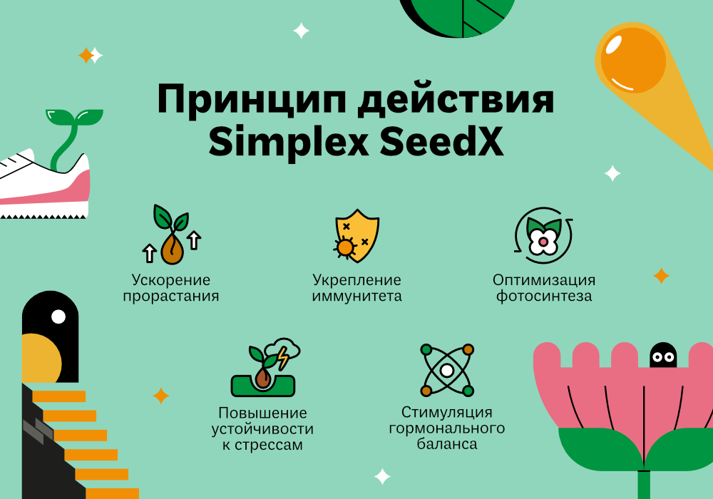 SeedX_СТАТЬЯ_2.jpg