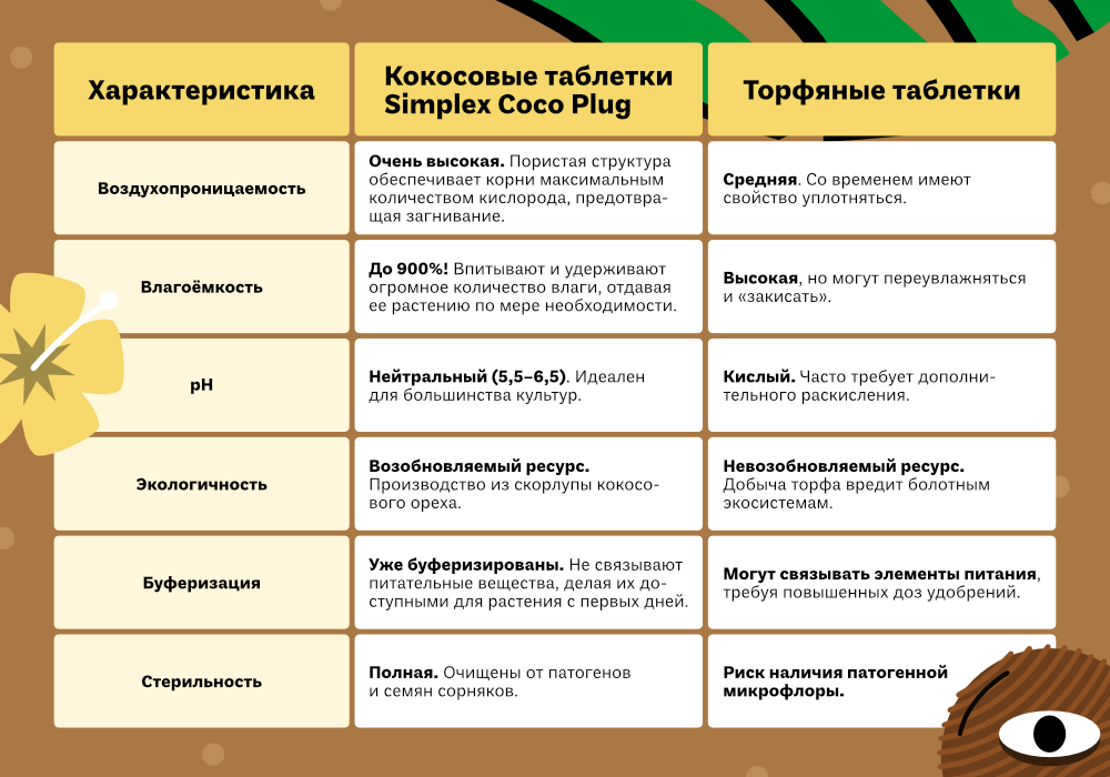 СТАТЬЯ_КЛОНИРОВАНИЕCOCOPLUG_100х700_2.jpg