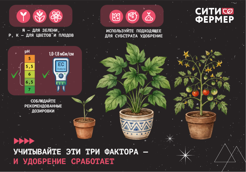 удобрение_не_работает_4.png