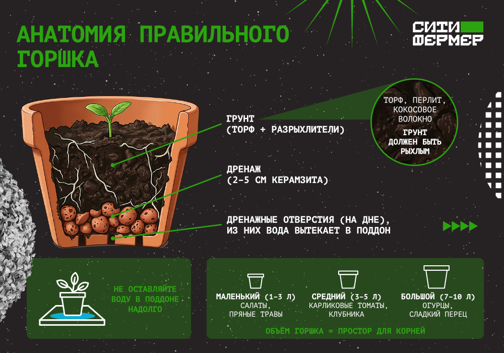СИТИФЕРМЕР_blog_Домашний огород_4.jpg