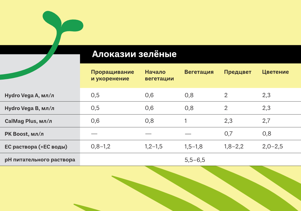 25.ТАБЛИЦЫ ЭКЗОТИКА5.jpg