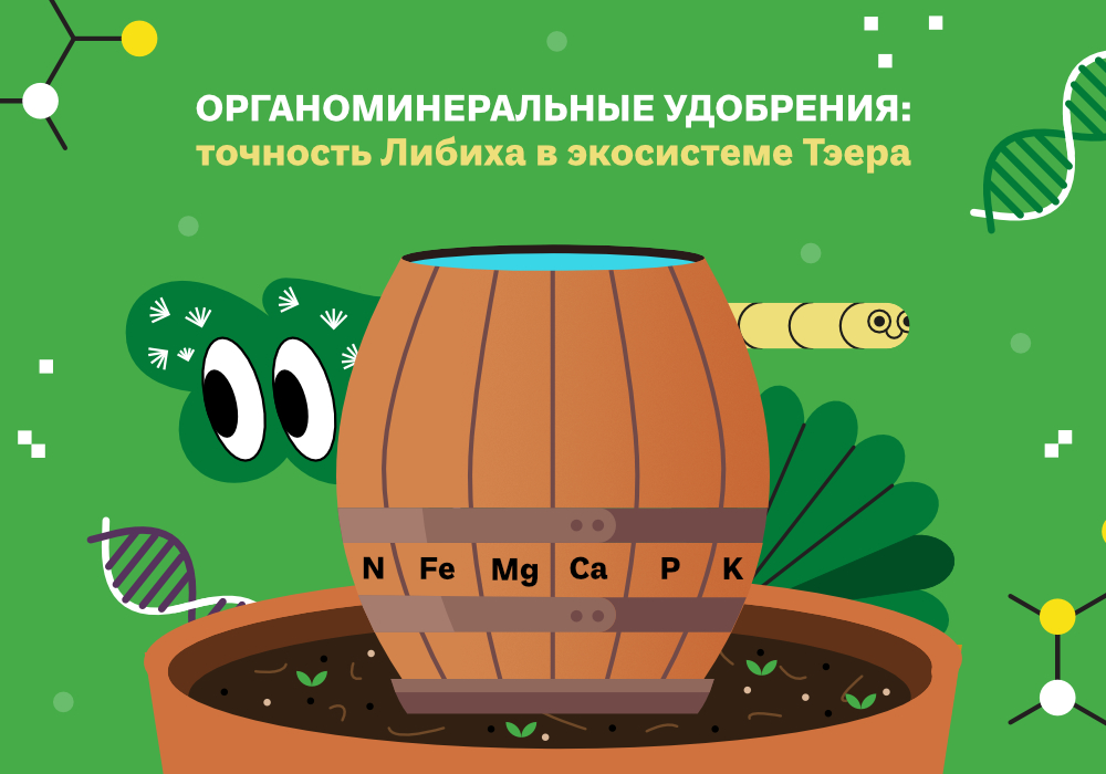 blog_Simplex_ОМУ_от_выбора_к_синергии_7.jpg