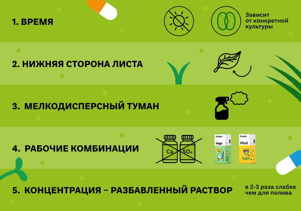 blog_Simplex_Внекорневые_подкормки_7.jpg