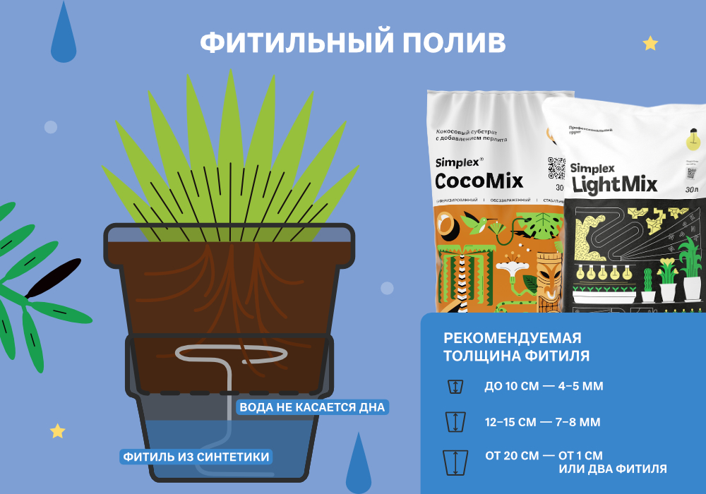 simplex_blog_ФИТИЛЬ_ПОЛУГИДРОПОНИКА_3_1000х700.jpg