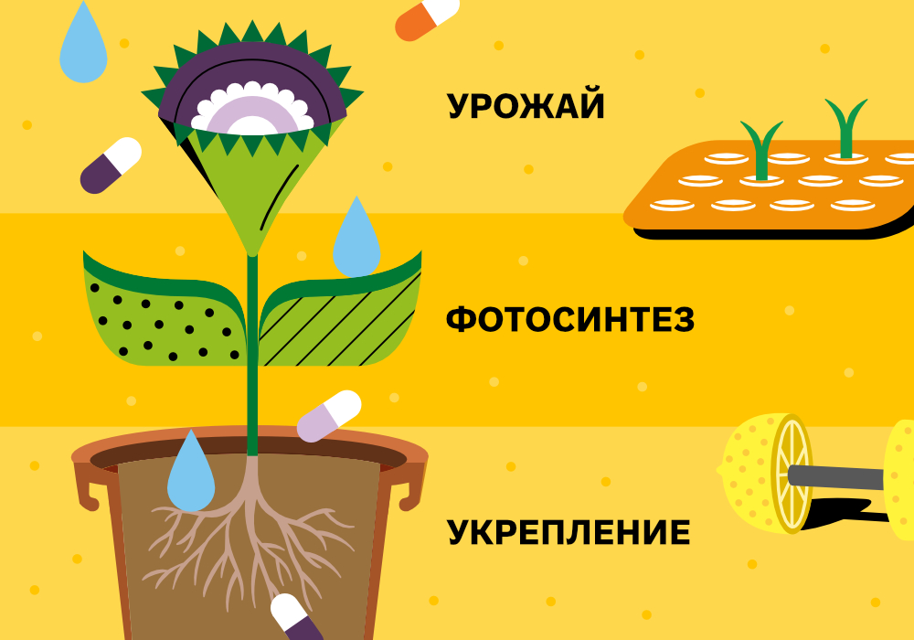 СТАТЯ_SIMPLEX VITAS_5.jpg СТАТЯ_SIMPLEX VITAS_5.jpg
