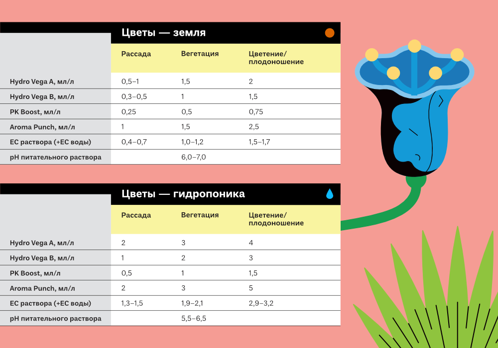 Культуры_симплекс_ЦВЕТЫ_1000x700 (1).jpg