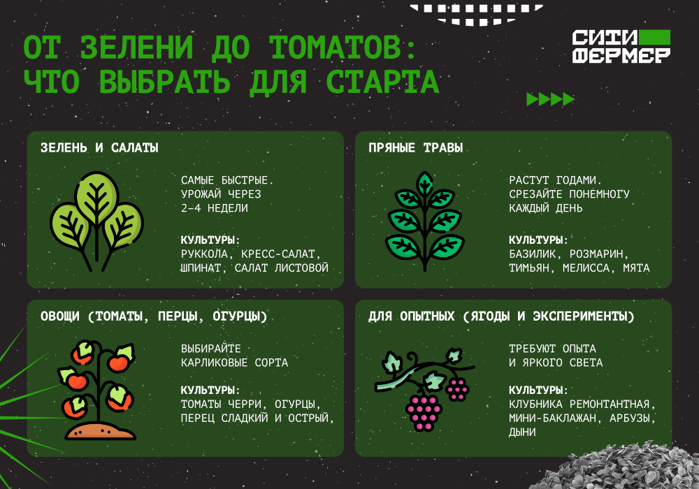 СИТИФЕРМЕР_blog_Домашний огород_3.jpg